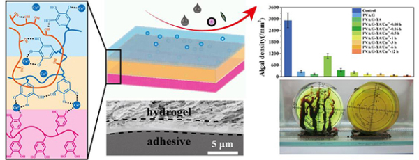 图4.可黏附水凝胶用于水下自清洁 图4.可黏附水凝胶用于水下自清洁