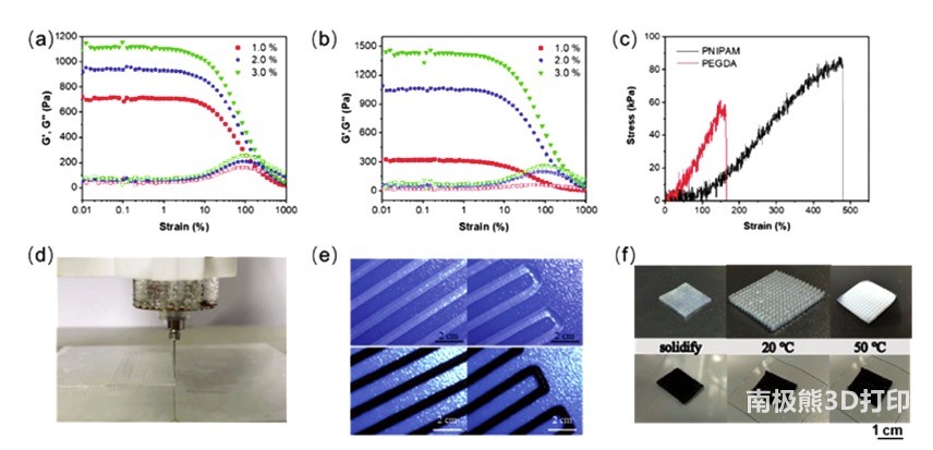 图2 不同浓度卡波姆粉末 图2 不同浓度卡波姆粉末