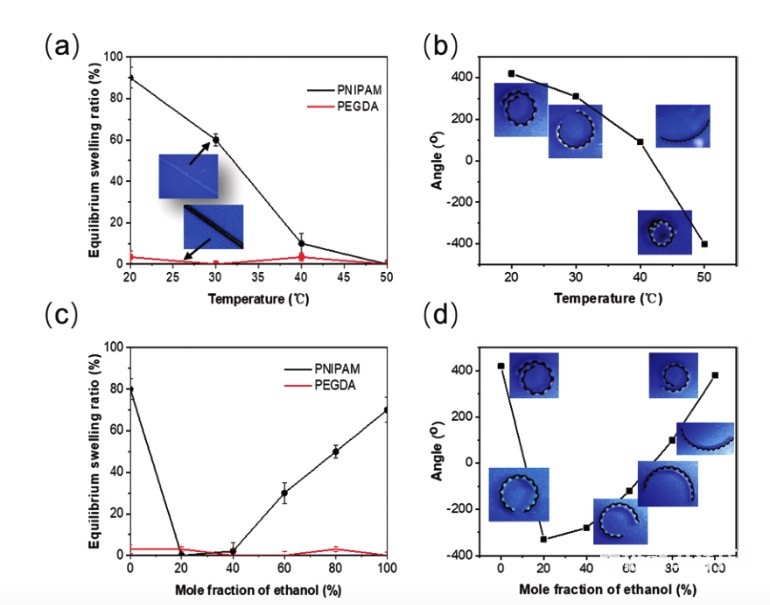 3D打印多响应PNIPAM-PEGDA自折叠双层水凝胶 3D打印多响应PNIPAM-PEGDA自折叠双层水凝胶