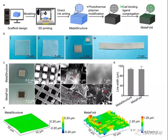 图2. MetaFold的构建和表征