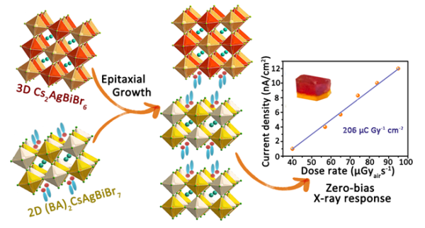 外延生长非铅双金属杂化钙钛异质结晶实现自驱动X射线探测 外延生长非铅双金属杂化钙钛异质结晶实现自驱动X射线探测
