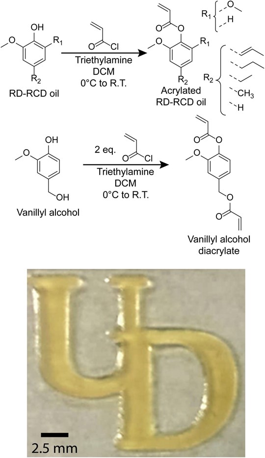 在市售的 SLA 打印机中使用生物树脂 3D 打印“UD” 在市售的 SLA 打印机中使用生物树脂 3D 打印“UD”
