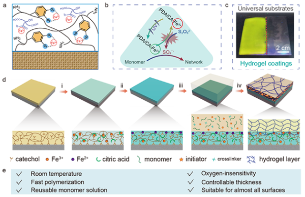 图1.SIL@UV-SCIRP方法生长水凝胶涂层的示意图 图1.SIL@UV-SCIRP方法生长水凝胶涂层的示意图