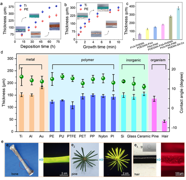 图2.利用SIL@UV-SCIRP方法在各种基底表面可控生长水凝胶涂层 图2.利用SIL@UV-SCIRP方法在各种基底表面可控生长水凝胶涂层