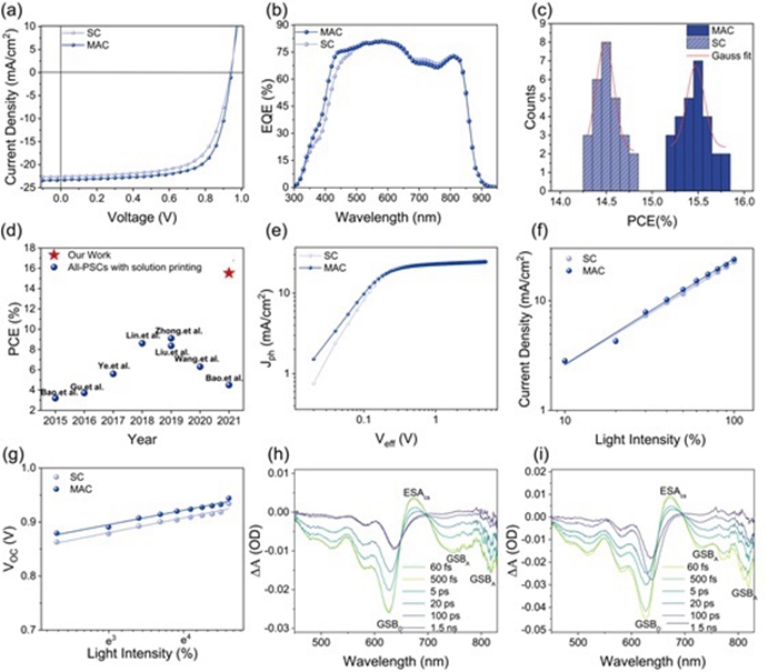 图2.基于弯液面诱导成膜法和旋涂法制备的全聚合物太阳能电池的器件性能及瞬态吸收光谱表征 图2.基于弯液面诱导成膜法和旋涂法制备的全聚合物太阳能电池的器件性能及瞬态吸收光谱表征