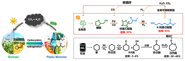 图1.基于生物质资源的羟基羧酸酯合成路线 图1.基于生物质资源的羟基羧酸酯合成路线