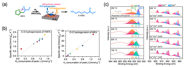 图2.(a) 不同Ni物种在加氢开环反应中的催化作用示意图,(b)量化分析Ni物种含量与催化活性关系,(c)NAP-XPS解析催化剂Ni物种演变 图2.(a) 不同Ni物种在加氢开环反应中的催化作用示意图,(b)量化分析Ni物种含量与催化活性关系,(c)NAP-XPS解析催化剂Ni物种演变