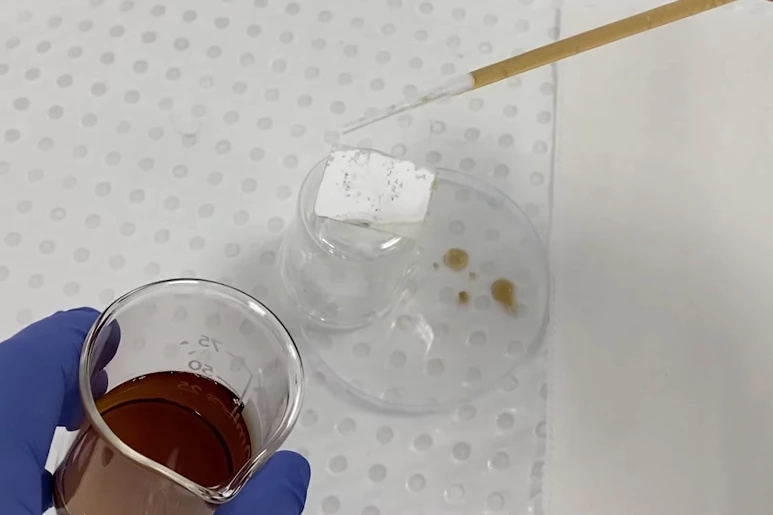 受荷叶启发 科学家开发可在土壤中生物降解的疏水生物塑料 受荷叶启发 科学家开发可在土壤中生物降解的疏水生物塑料