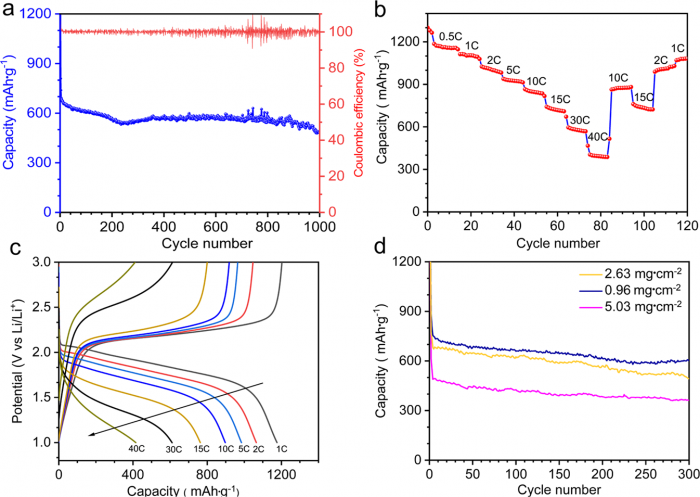 研究配图 - 5：γS-CNF 的倍率性能和高负载分析