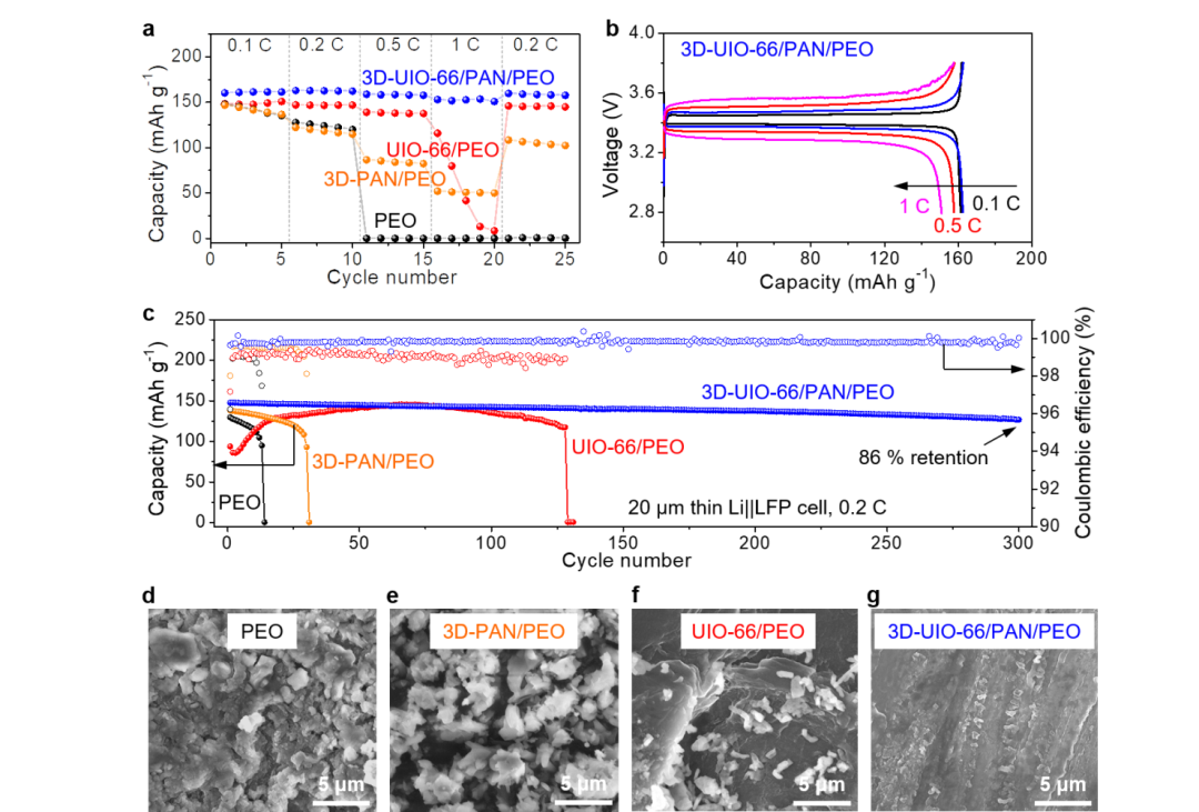 图4. Li||LFP电池在60 oC的电化学性能