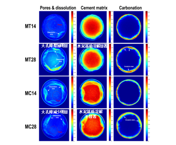 图3.井筒水泥对照组（MT）和改性组（MC）CO2腐蚀后大孔隙、水泥基质、碳化层分布图
