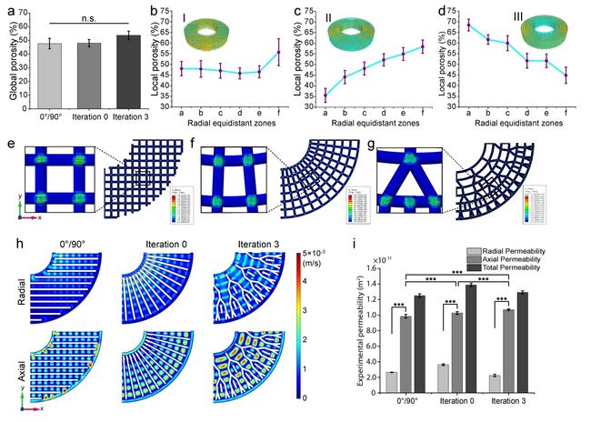 图3 挤出式3D打印仿生支架的孔隙结构、力学性能和渗透性能 图3 挤出式3D打印仿生支架的孔隙结构、力学性能和渗透性能