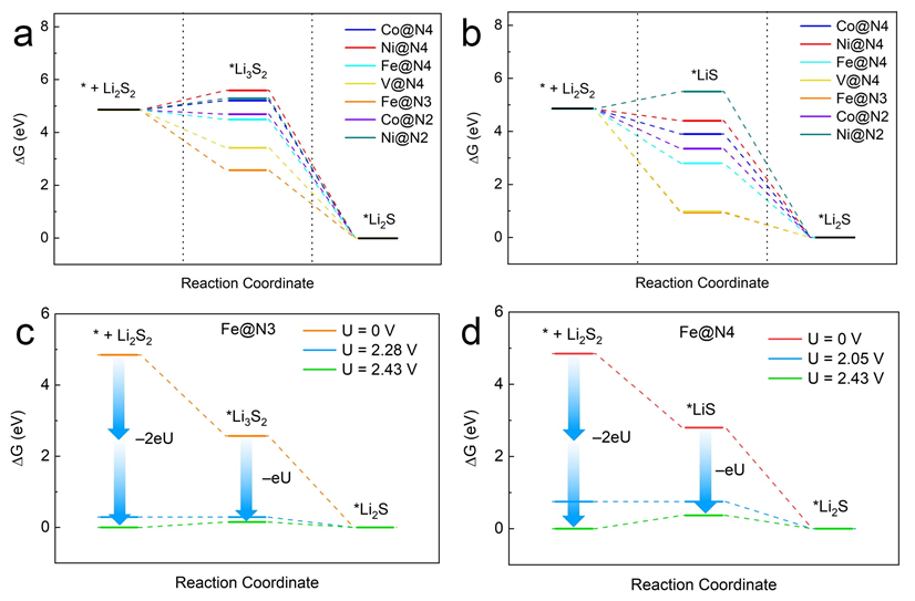不同种类单原子催化剂在不同反应机制中对反应电位的影响 不同种类单原子催化剂在不同反应机制中对反应电位的影响