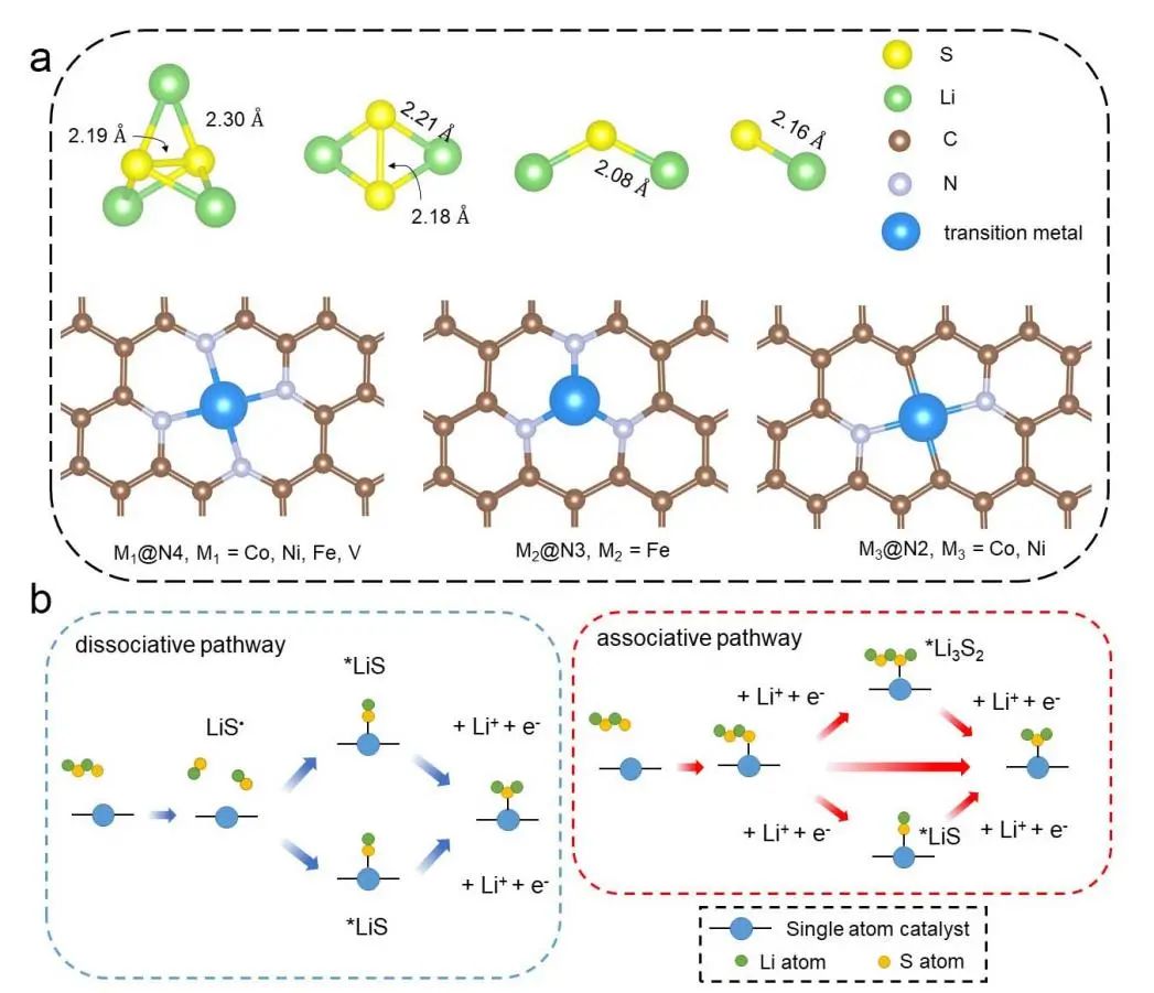 图1. (a)反应物、产物及反应中间体分子结构,(b)Li2S2催化转化可能的反应路径 图1. (a)反应物、产物及反应中间体分子结构,(b)Li2S2催化转化可能的反应路径