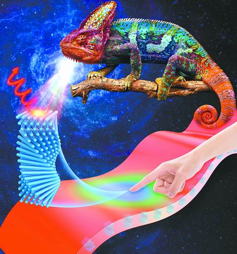 封伟团队受自然界变色龙智能变色机制启发，研制出智能变色液晶高分子薄膜