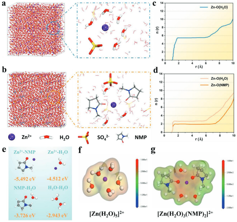图2.含有NMP添加剂的ZnSO4 电解质的理论研究