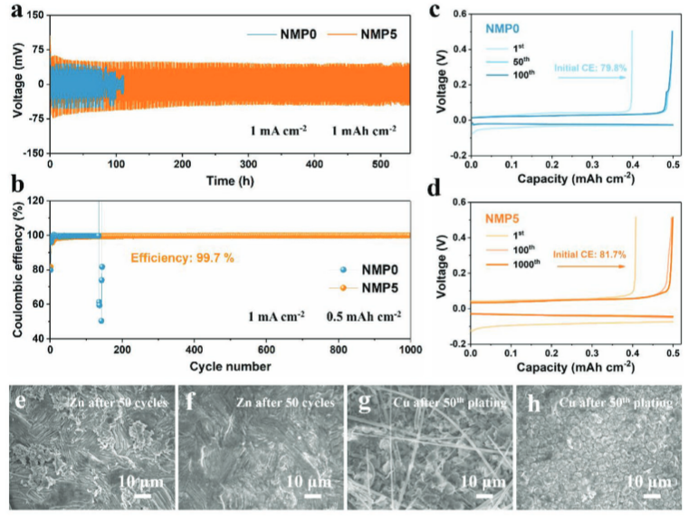 NMP0 和 NMP5 电解质中锌沉积反应的比较