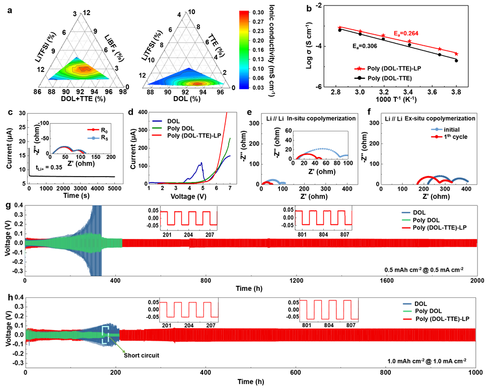 图2 聚合物固态电解质的组分优化以及电化学性能