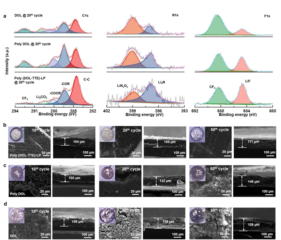 图3 固态、凝胶、液态三种电解质的界面组分和衍生的锂沉积形貌
