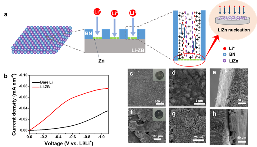 图1. Li-ZB的制备与相应的表征 图1. Li-ZB的制备与相应的表征