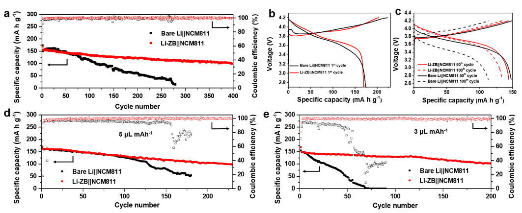 图5. 以Li-ZB为负极,NCM811为正极全电池的循环性能 图5. 以Li-ZB为负极,NCM811为正极全电池的循环性能