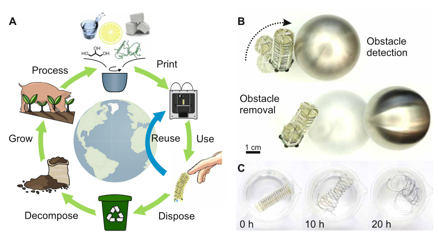 具有波导传感器的3D打印软执行器 具有波导传感器的3D打印软执行器