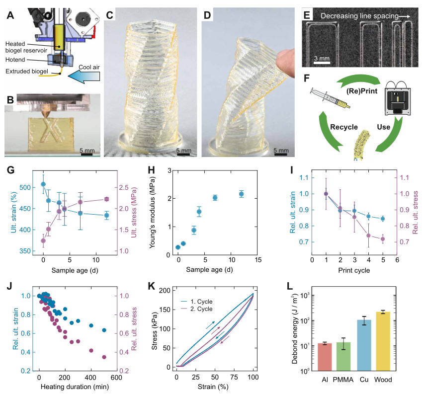 明胶基生物凝胶的3D打印 明胶基生物凝胶的3D打印
