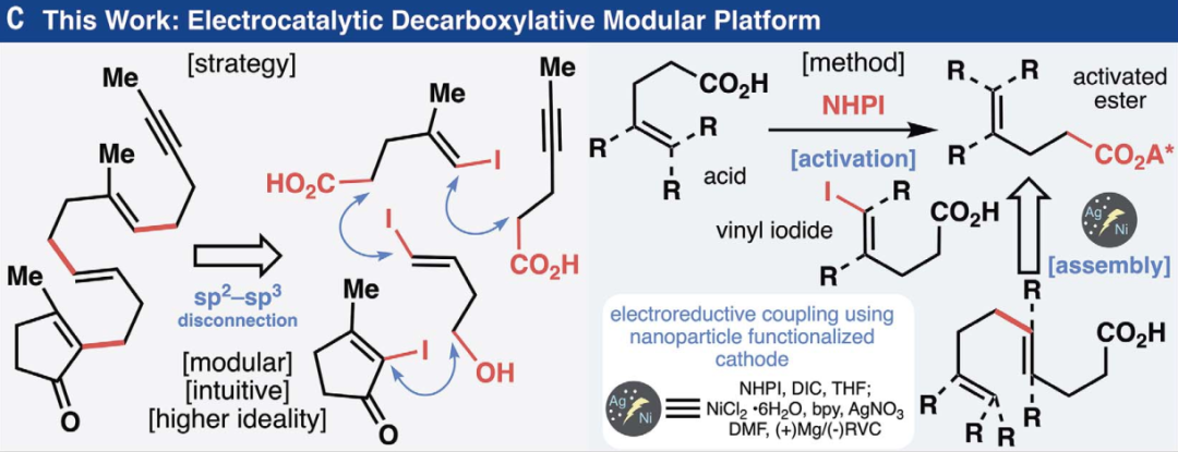 图1. 反应概述 图1. 反应概述