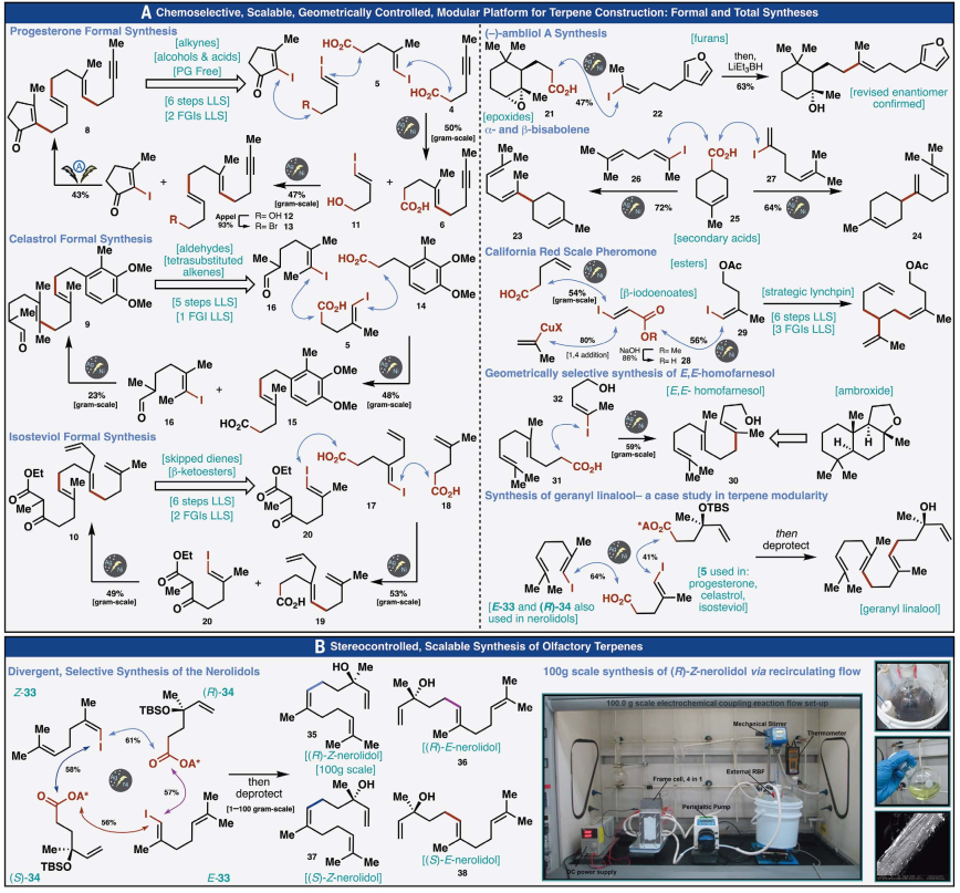 图3. 多种萜烯类天然产物的合成 图3. 多种萜烯类天然产物的合成