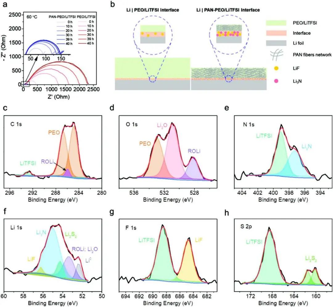 图3. SSE和锂金属之间的界面稳定性评估 图3. SSE和锂金属之间的界面稳定性评估