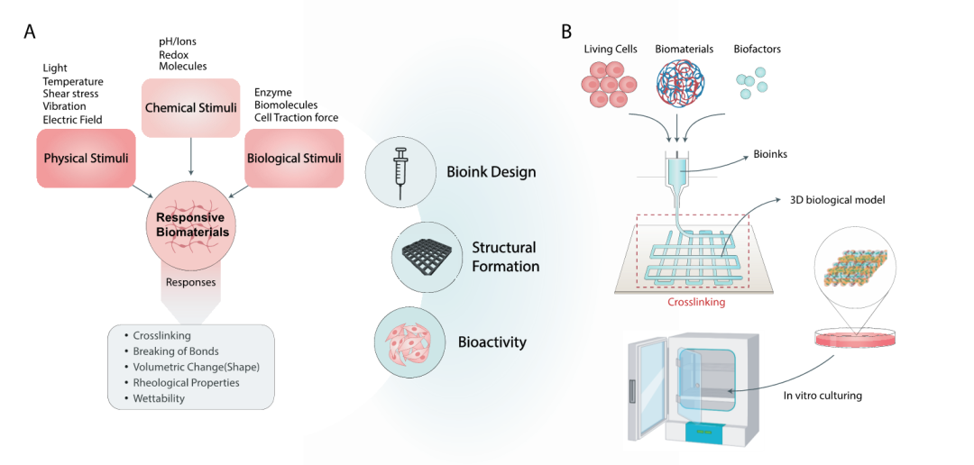 图2 可打印性的定量和定性测定 图2 可打印性的定量和定性测定