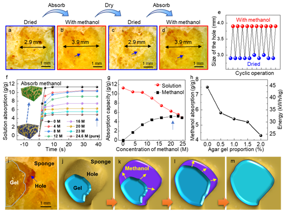 图1.凝胶/海绵复合材料的吸收性能 图1.凝胶/海绵复合材料的吸收性能