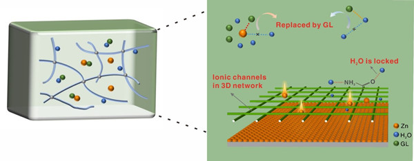 键调节水凝胶的作用机理示意图