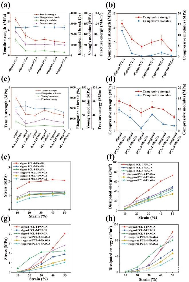 图2. 排列交错PCL支架和不同纤维间距PCL-PNAGA支架的力学性能 图2. 排列交错PCL支架和不同纤维间距PCL-PNAGA支架的力学性能
