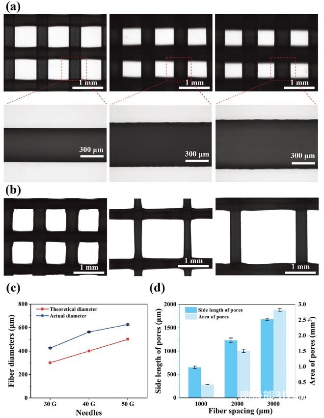图1. 不同针型PCL支架的光学显微图像 图1. 不同针型PCL支架的光学显微图像