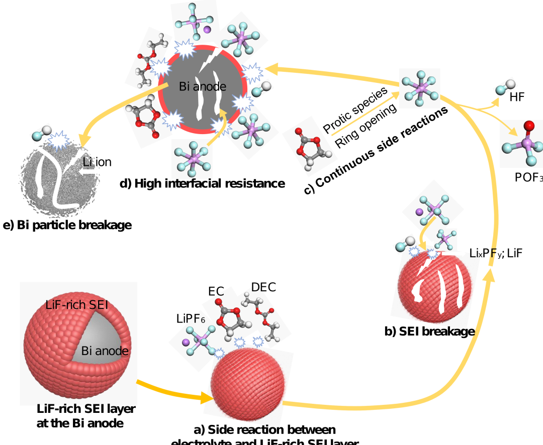 图1. 碳酸酯电解液中富含LiF的无机SEI层保护的Bi负极存在的问题