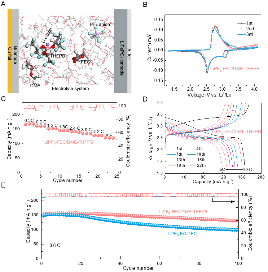 图6. 铋基全电池性能