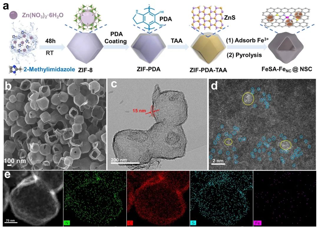 图1 FeSA-FeNC@NSC的合成过程和结构表征