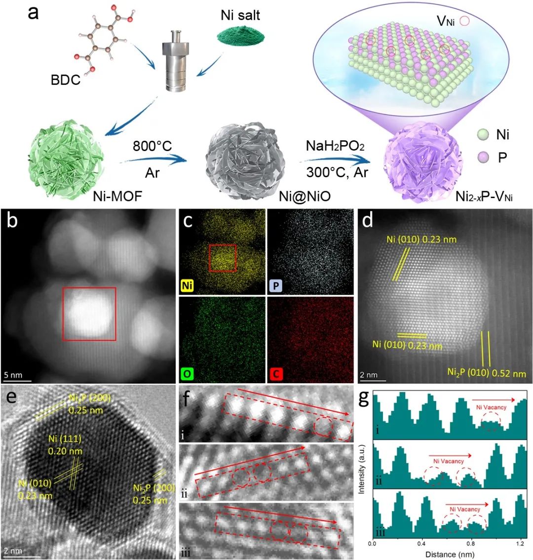 图1. 富阳离子空位的磷化镍的合成示意图,以及HADDF-STEM和HRTEM对催化剂结构和阳离子空位的表征 图1. 富阳离子空位的磷化镍的合成示意图,以及HADDF-STEM和HRTEM对催化剂结构和阳离子空位的表征