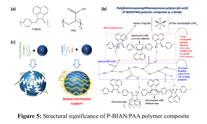P-BIAN / PAA 聚合物复合材料的结构示意 P-BIAN / PAA 聚合物复合材料的结构示意