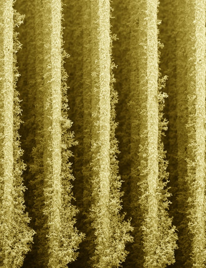 1646707174130728.jpg 3D打印的纳米摩天大楼帮助细菌将阳光转化为电能2.jpg