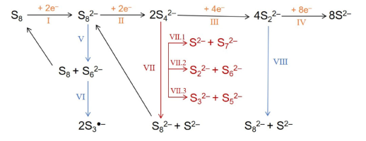 硫正极中可能发生的电化学反应与化学反应路径 硫正极中可能发生的电化学反应与化学反应路径