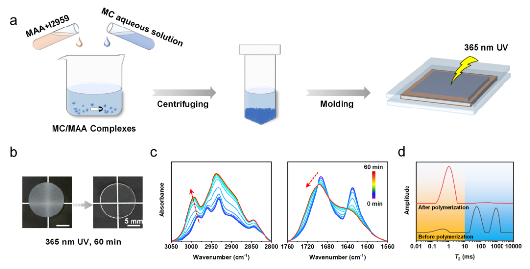 图1 SPHs的合成路线 图1 SPHs的合成路线