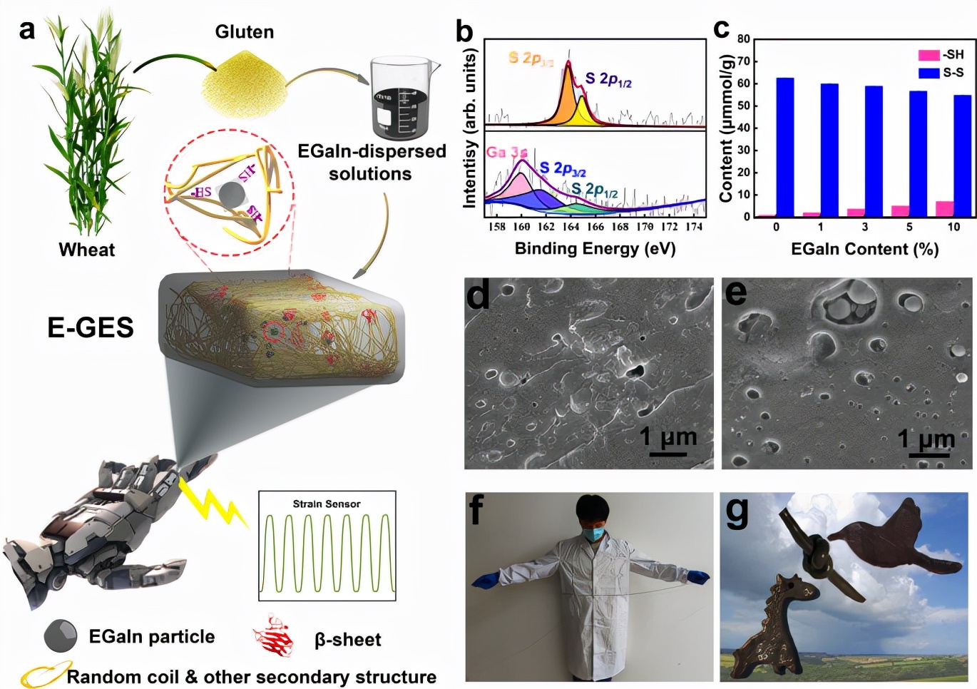 图1 E-GES的制备示意图和基本性能表征