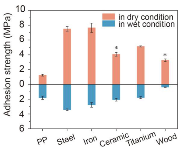 图3 SRAD在多种基材的干/湿黏合强度