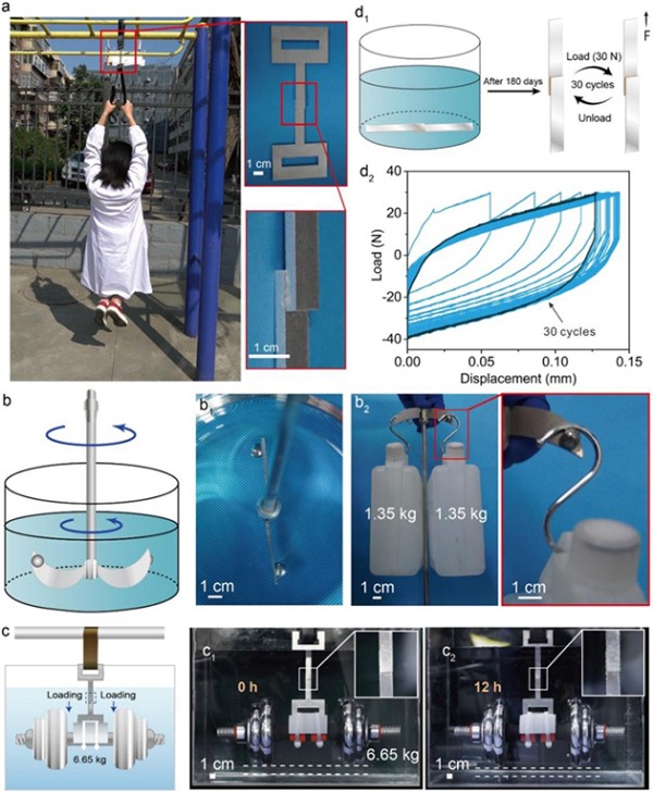 图4 SRAD的黏合强度测试