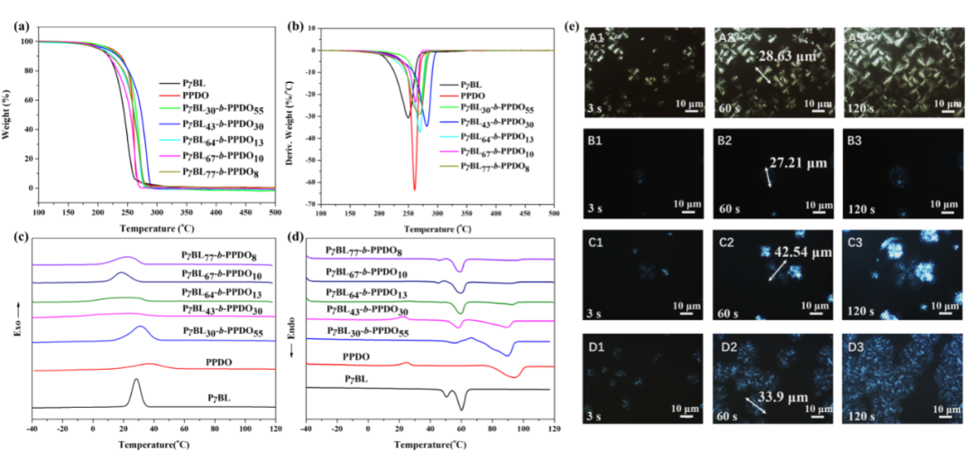 可闭环化学循环全降解高分子研究取得新突破