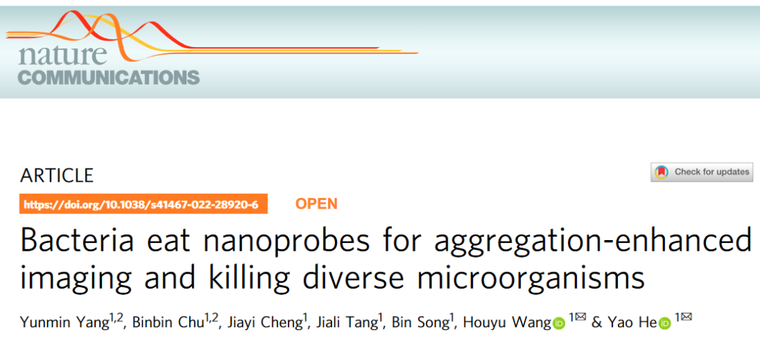 细菌“吃掉”纳米材料