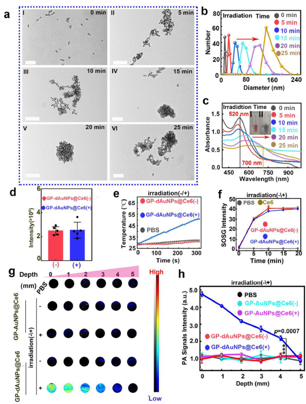 图2 细菌“吃掉”金纳米颗粒的策略设计