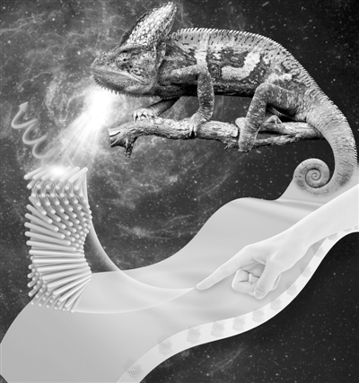 1647307361583758.jpg 智能液晶高分子薄膜会变色.jpg